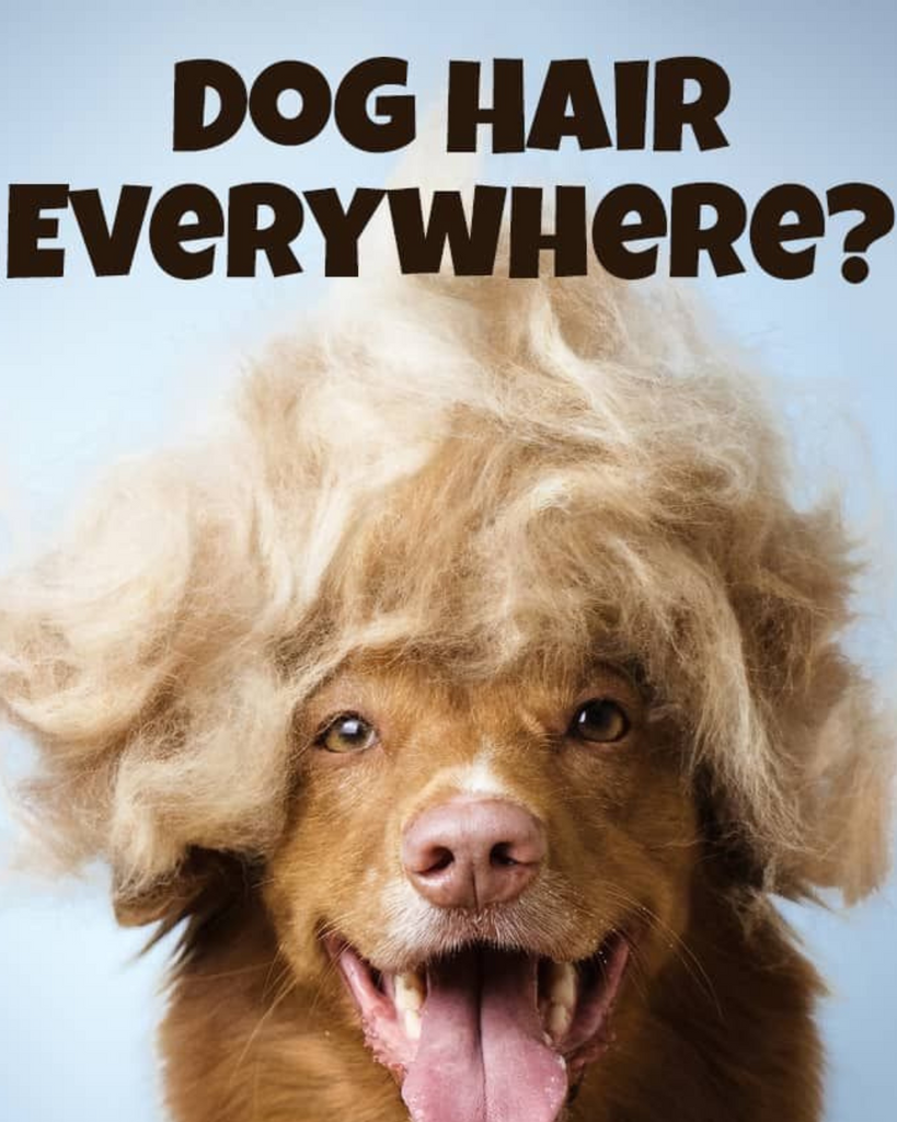 De-Shed Your Dog