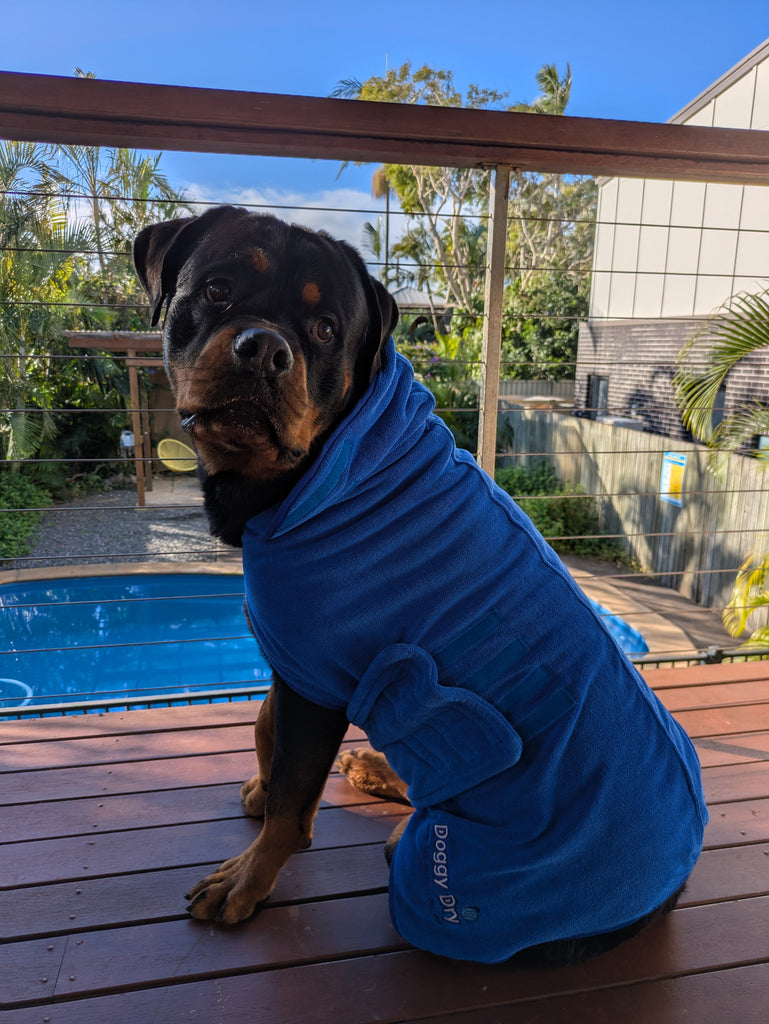 Pet Dryer Dryer Doggy Dry Dryer for pets