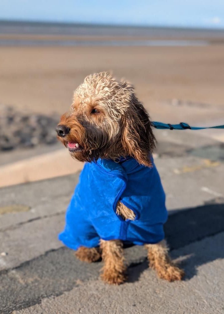 Pet Dryer Dryer Doggy Dry Dryer for pets