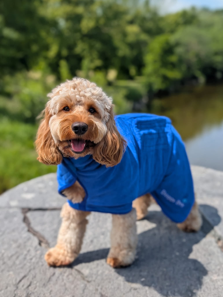 Pet Dryer Dryer Doggy Dry Dryer for pets