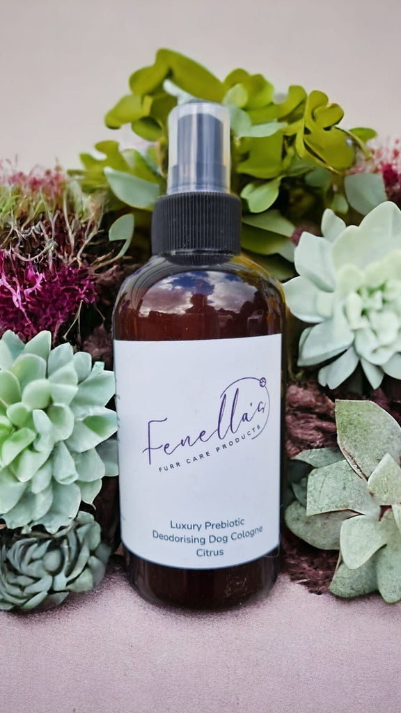 Pet Dryer Dryer Doggy Dry Dryer for pets