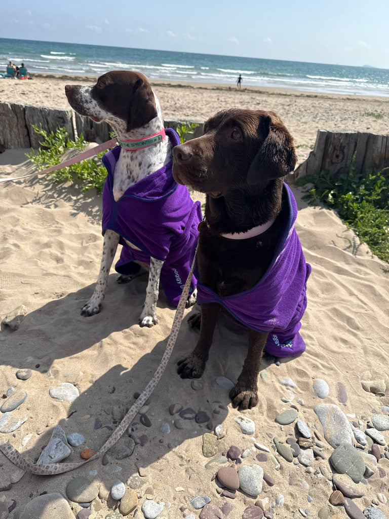 Pet Dryer Dryer Doggy Dry Dryer for pets